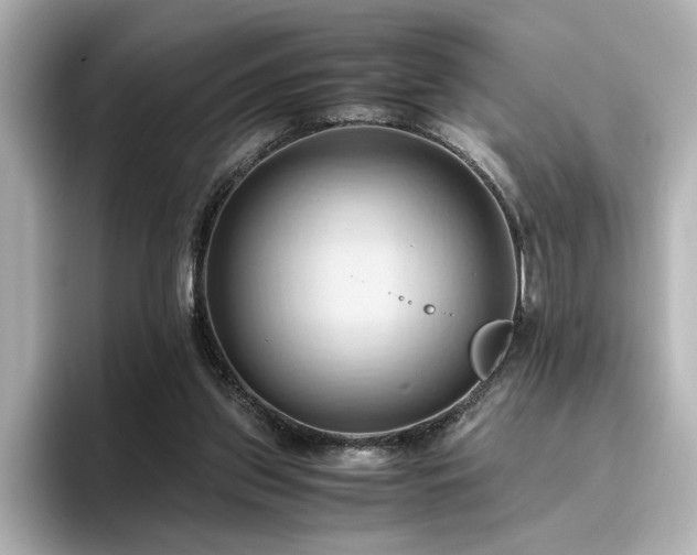 X0000096640157200802051135