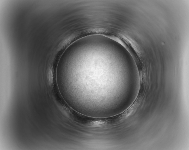 X0000096640158200802051135