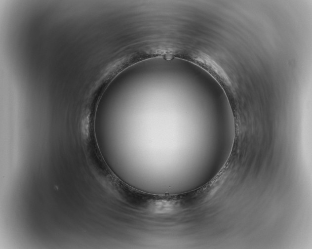 X0000096640163200802051135