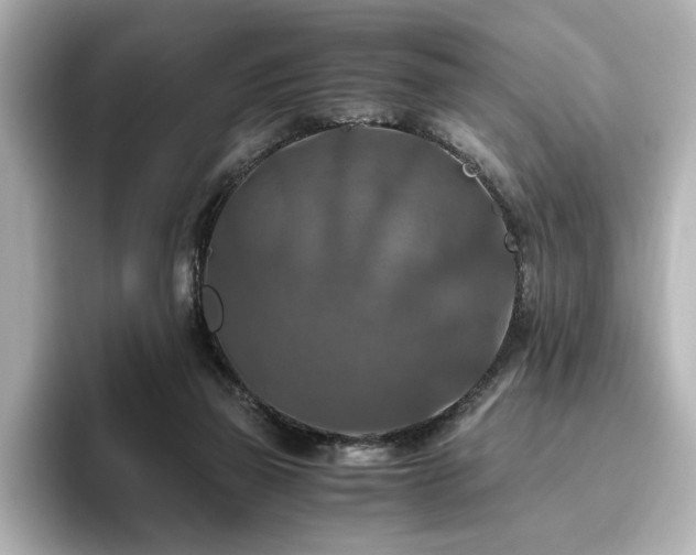 X0000096640165200802051135