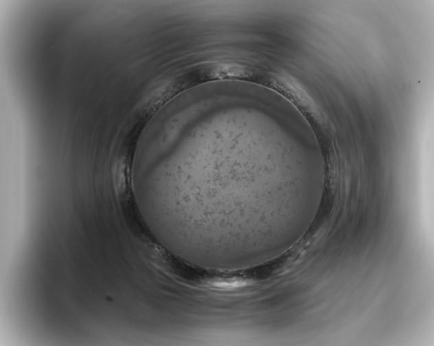X0000096640169200802051136