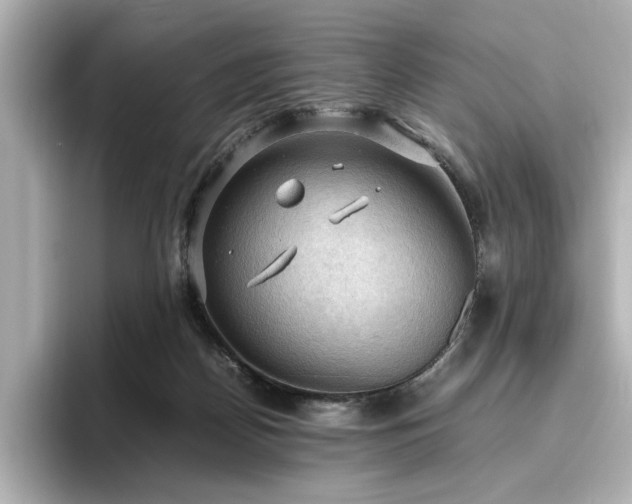 X0000096640170200802051136