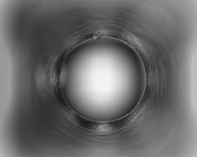 X0000096640173200802051136
