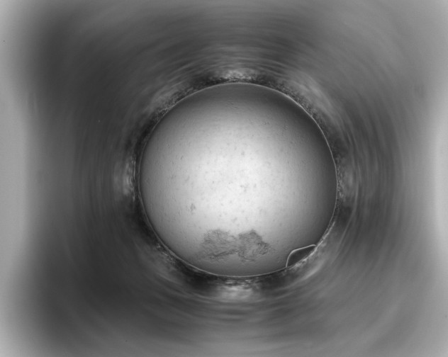 X0000096640175200802051136
