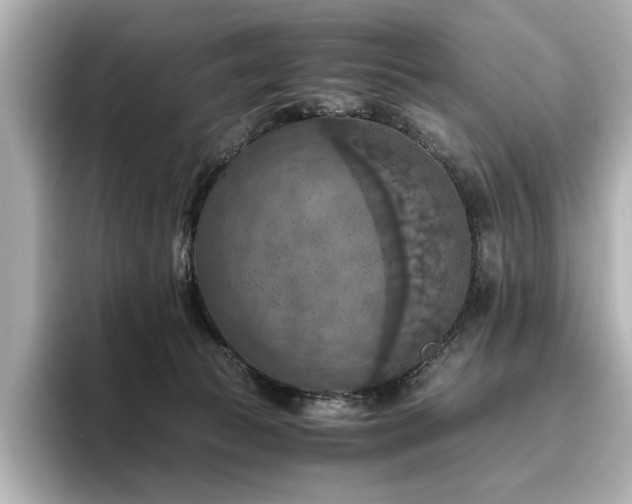 X0000096640177200802051136