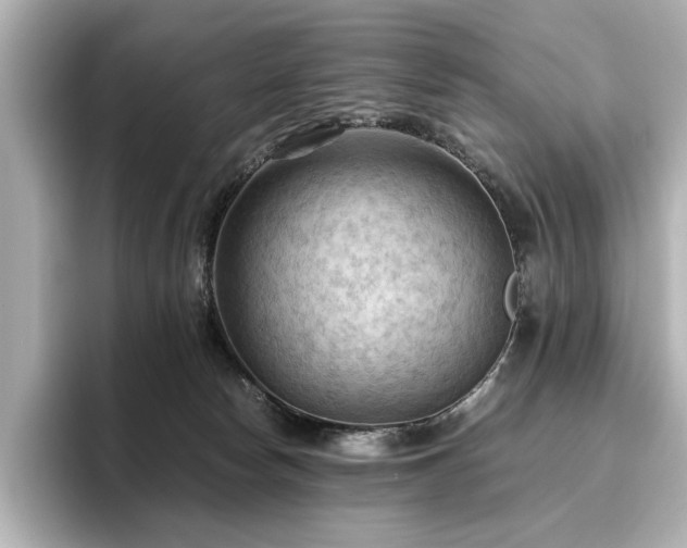 X0000096640178200802051136