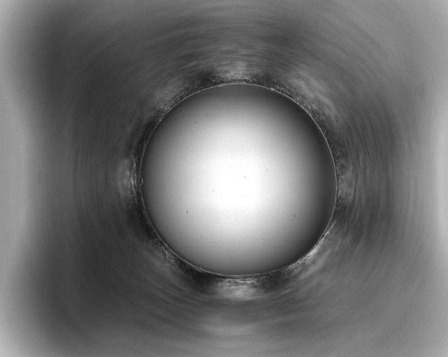 X0000096640179200802051136