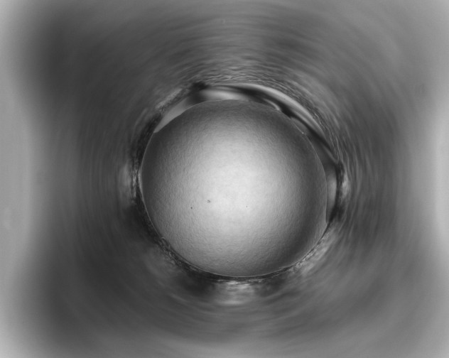 X0000096640180200802051136
