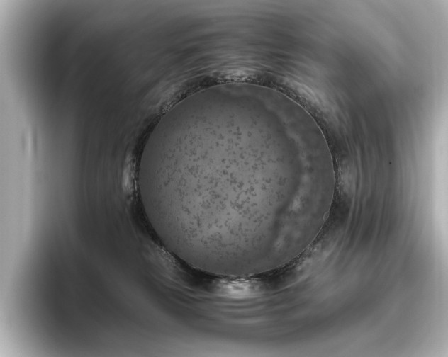 X0000096640181200802051136