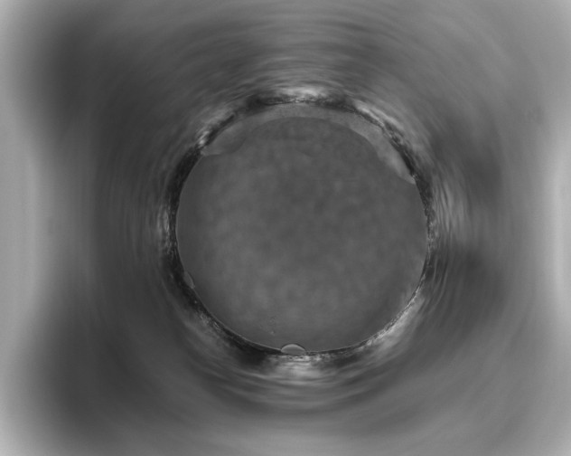 X0000096640182200802051136