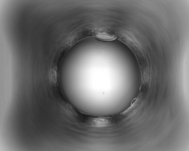 X0000096640183200802051136