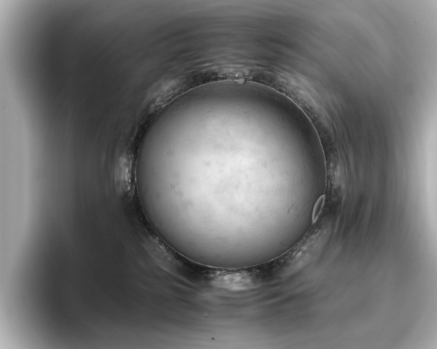 X0000096640185200802051136