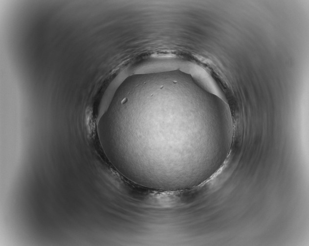 X0000096640186200802051136