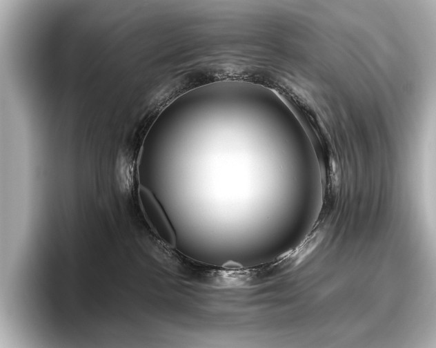 X0000096640188200802051136