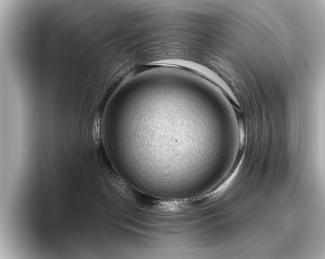 X0000096640190200802051136