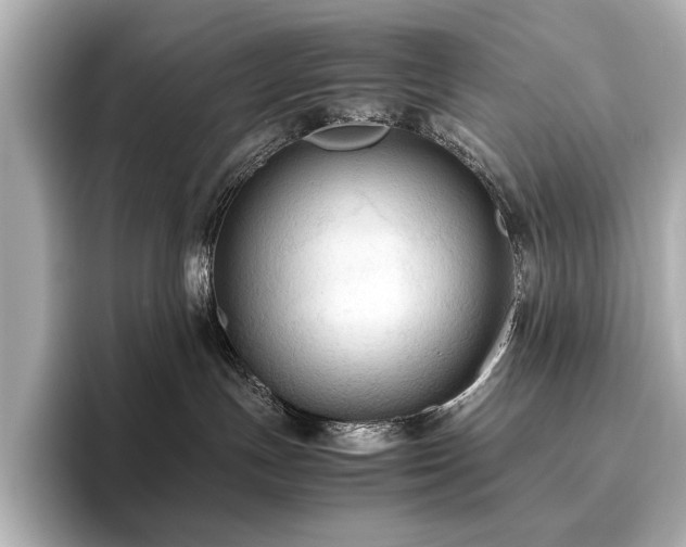 X0000096640191200802051136