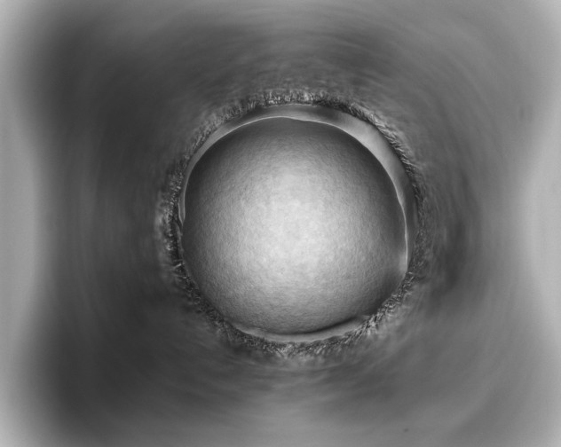 X0000096640192200802051136