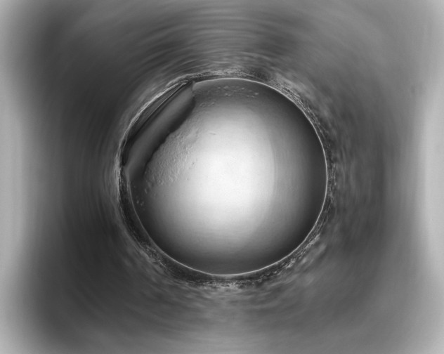 X0000096640194200802051135