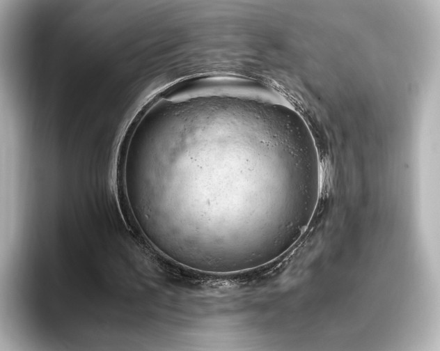 X0000096640195200802051135