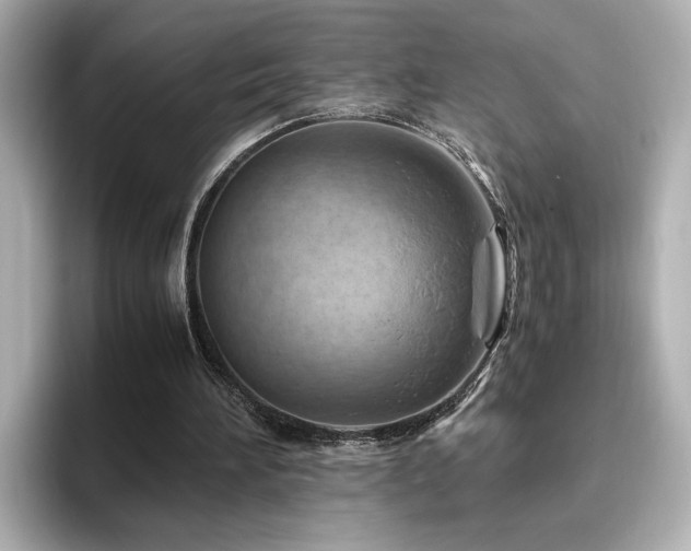 X0000096640196200802051135