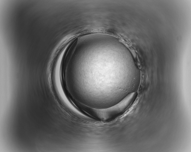 X0000096640197200802051135