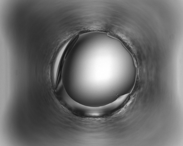X0000096640201200802051135