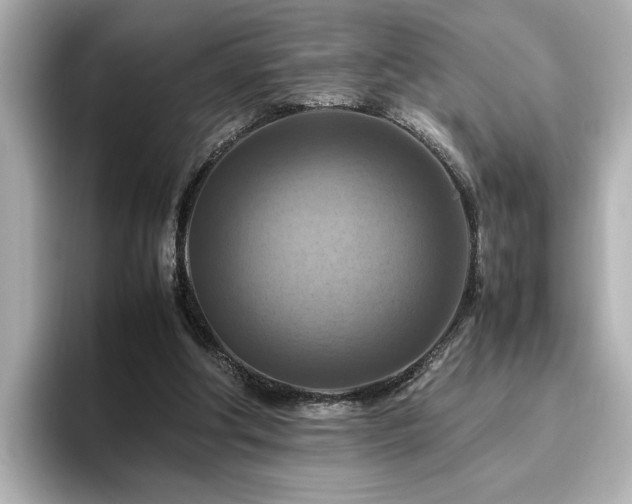 X0000096640202200802051135