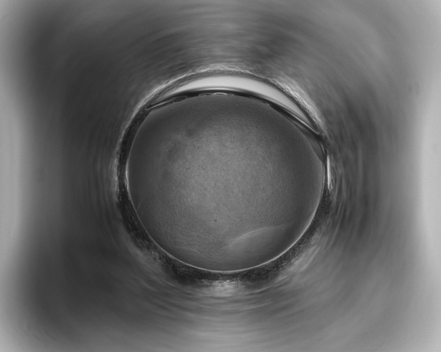 X0000096640204200802051135