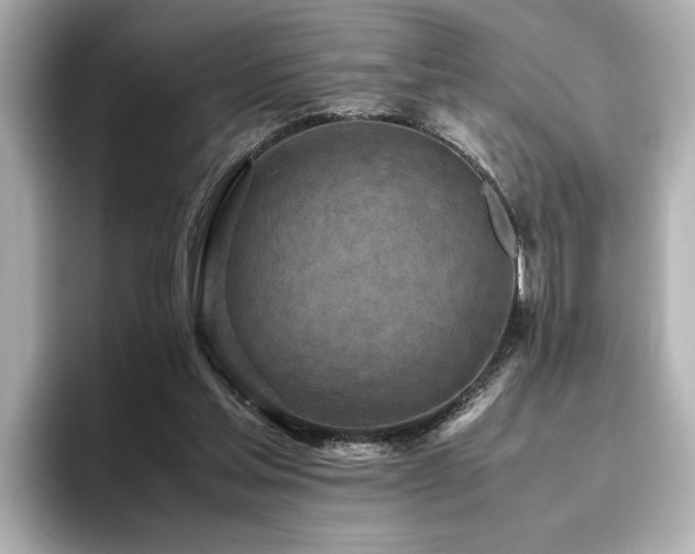 X0000096640205200802051135