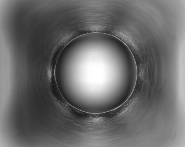 X0000096640206200802051135