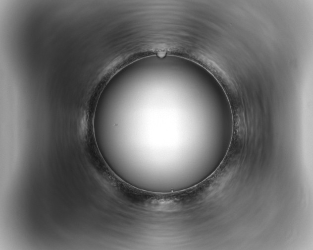 X0000096640208200802051135