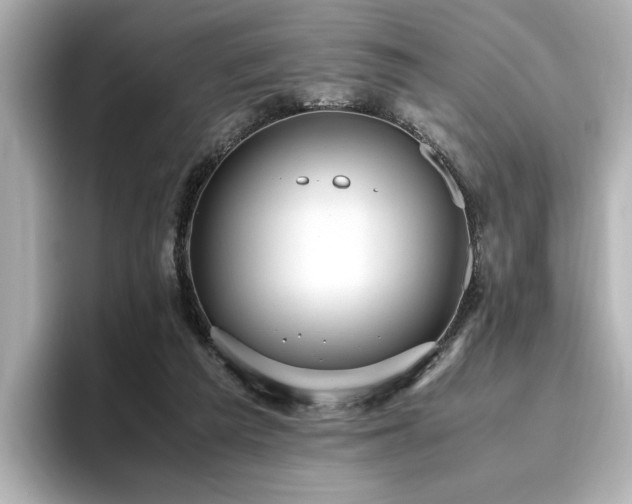 X0000096640209200802051135