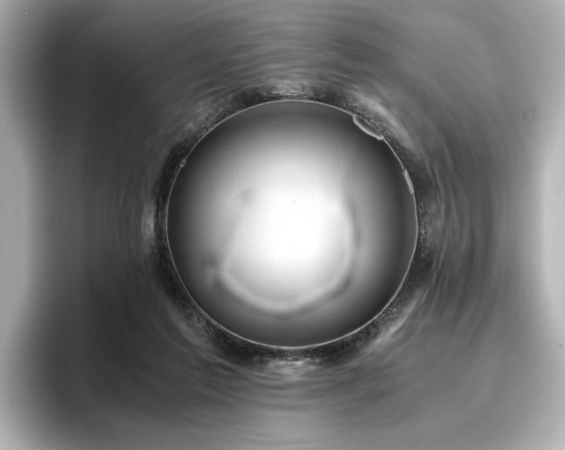 X0000096640213200802051135