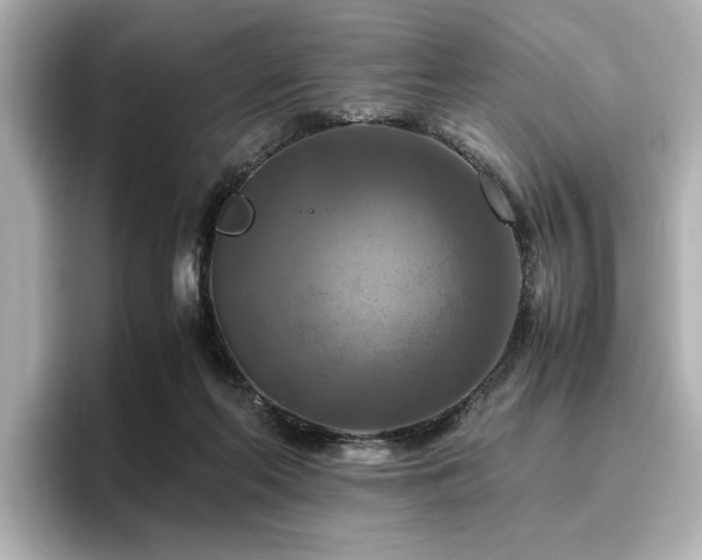 X0000096640214200802051135