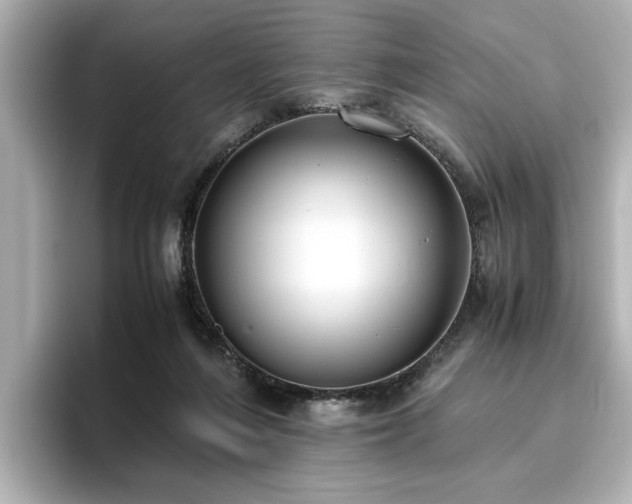 X0000096640216200802051135