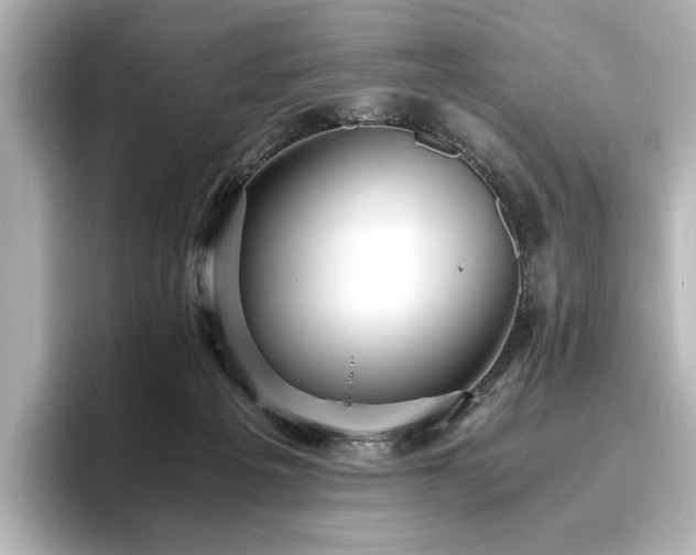 X0000096640217200802051135