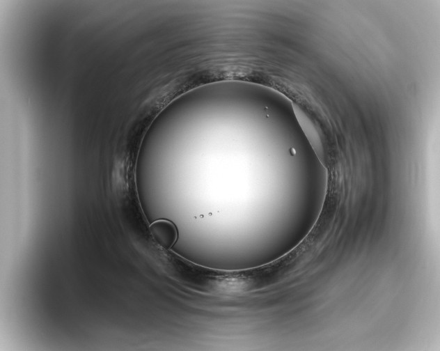 X0000096640218200802051135