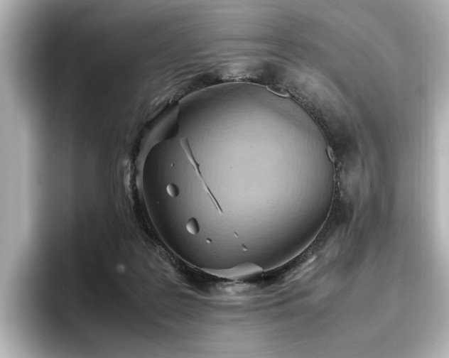 X0000096640219200802051135