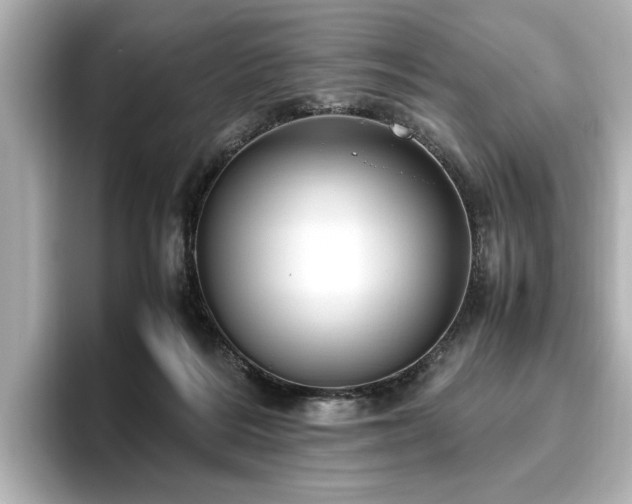 X0000096640220200802051135