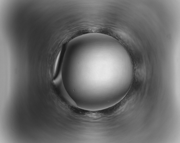 X0000096640221200802051135