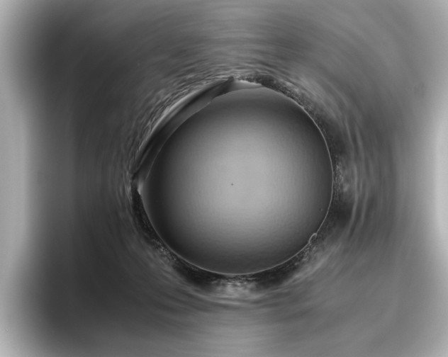 X0000096640223200802051135