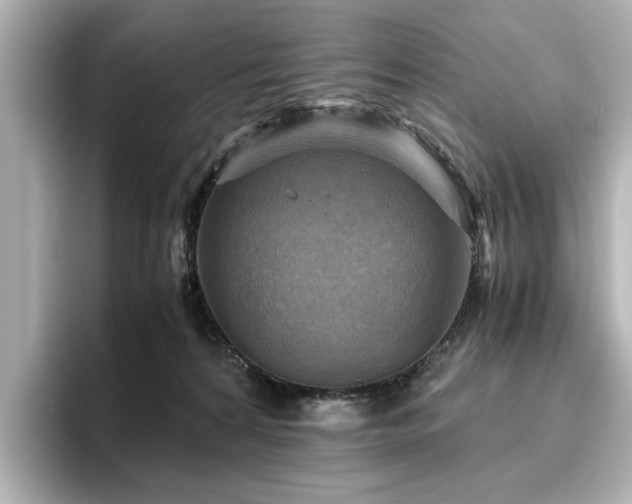 X0000096640224200802051135