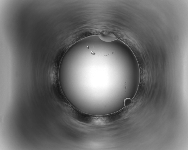 X0000096640226200802051135