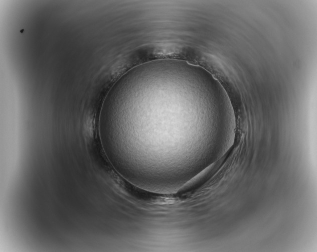 X0000096640227200802051135