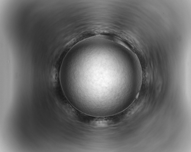 X0000096640228200802051135