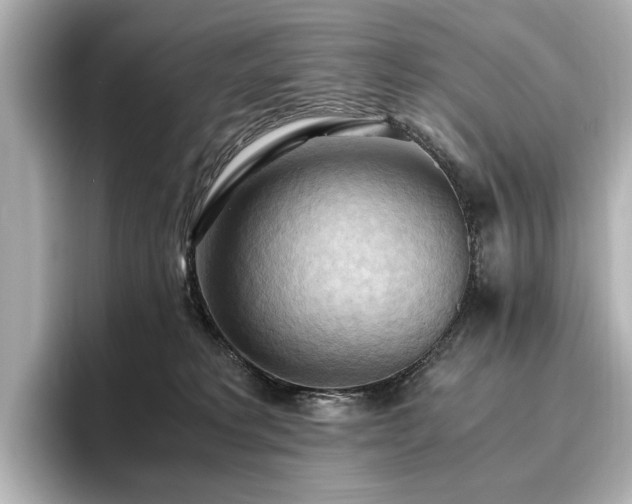 X0000096640229200802051135