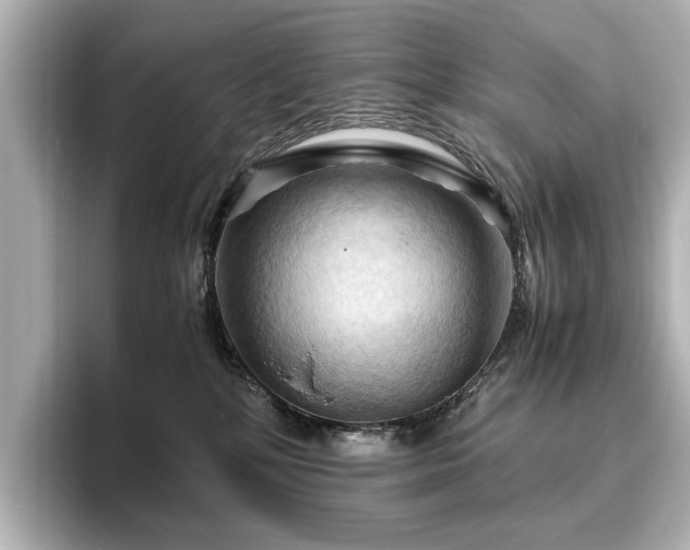 X0000096640232200802051135