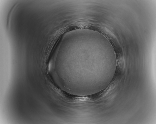 X0000096640233200802051135