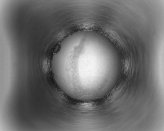X0000096640236200802051135