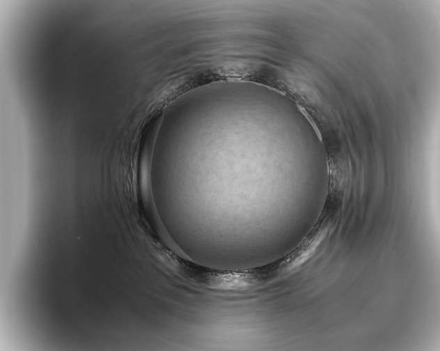 X0000096640237200802051135